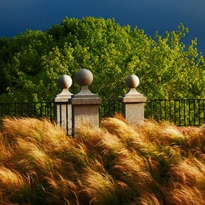 MG_1551-web-copia