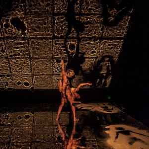 MG_2668-copia