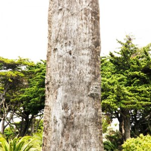 MG_0451-copia