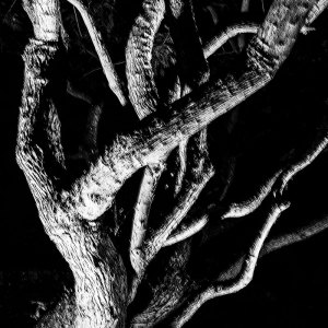 MG_3567-copia