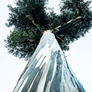 MG_7593-copia