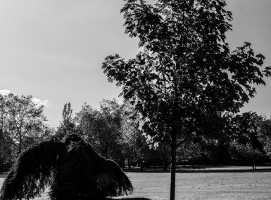 MG_0727-copia