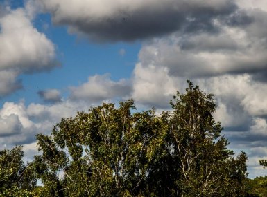 MG_0754-copia