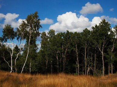 MG_0756-copia