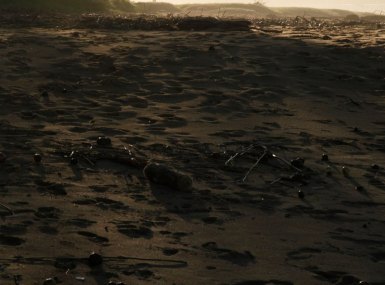 MG_2821-copia