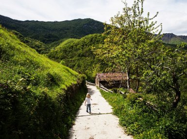 MG_5021-copia