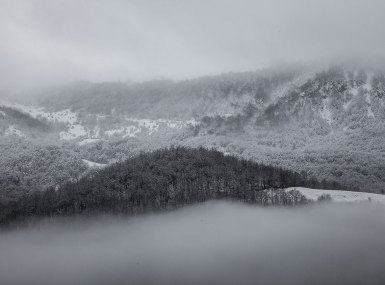 MG_6618