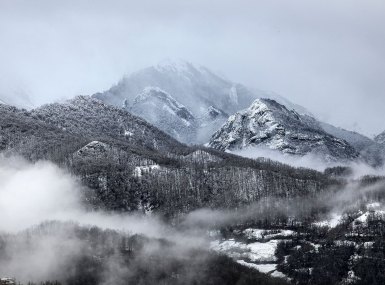 MG_6752