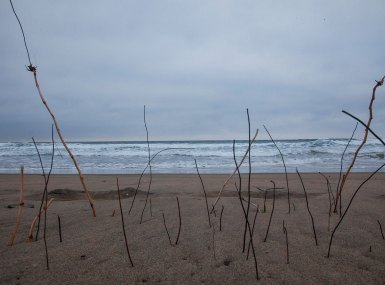 MG_7718-copia