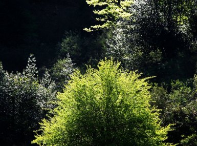 MG_8071-copia