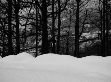 SDIM1360-copia-2