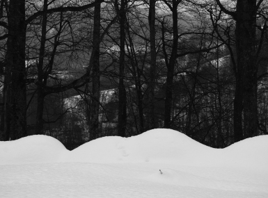 SDIM1362-copia