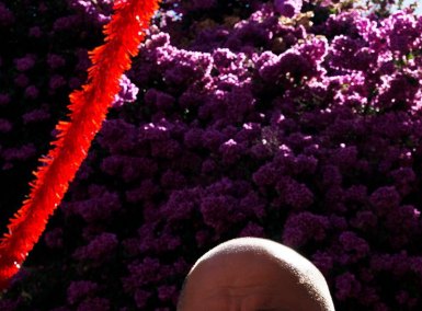 MG_0787-copia